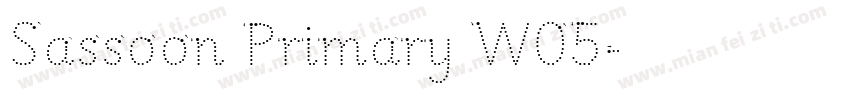 Sassoon Primary W05字体转换